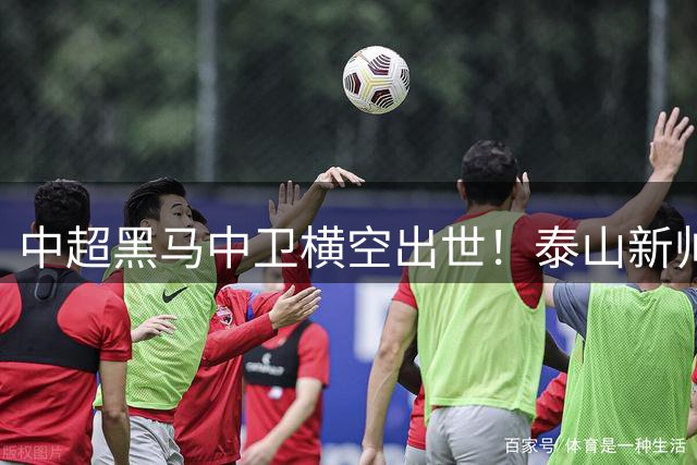 中超黑马中卫横空出世！泰山新帅神笔点将 22岁铁闸零封卫冕冠军