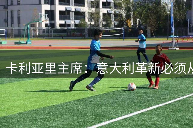 卡利亚里主席：意大利革新必须从青训抓起，而非引进大批外籍球员