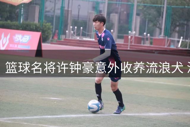 篮球名将许钟豪意外收养流浪犬 温情一幕引网友热议